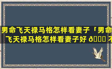 男命飞天禄马格怎样看妻子「男命飞天禄马格怎样看妻子好 🐅 不好」
